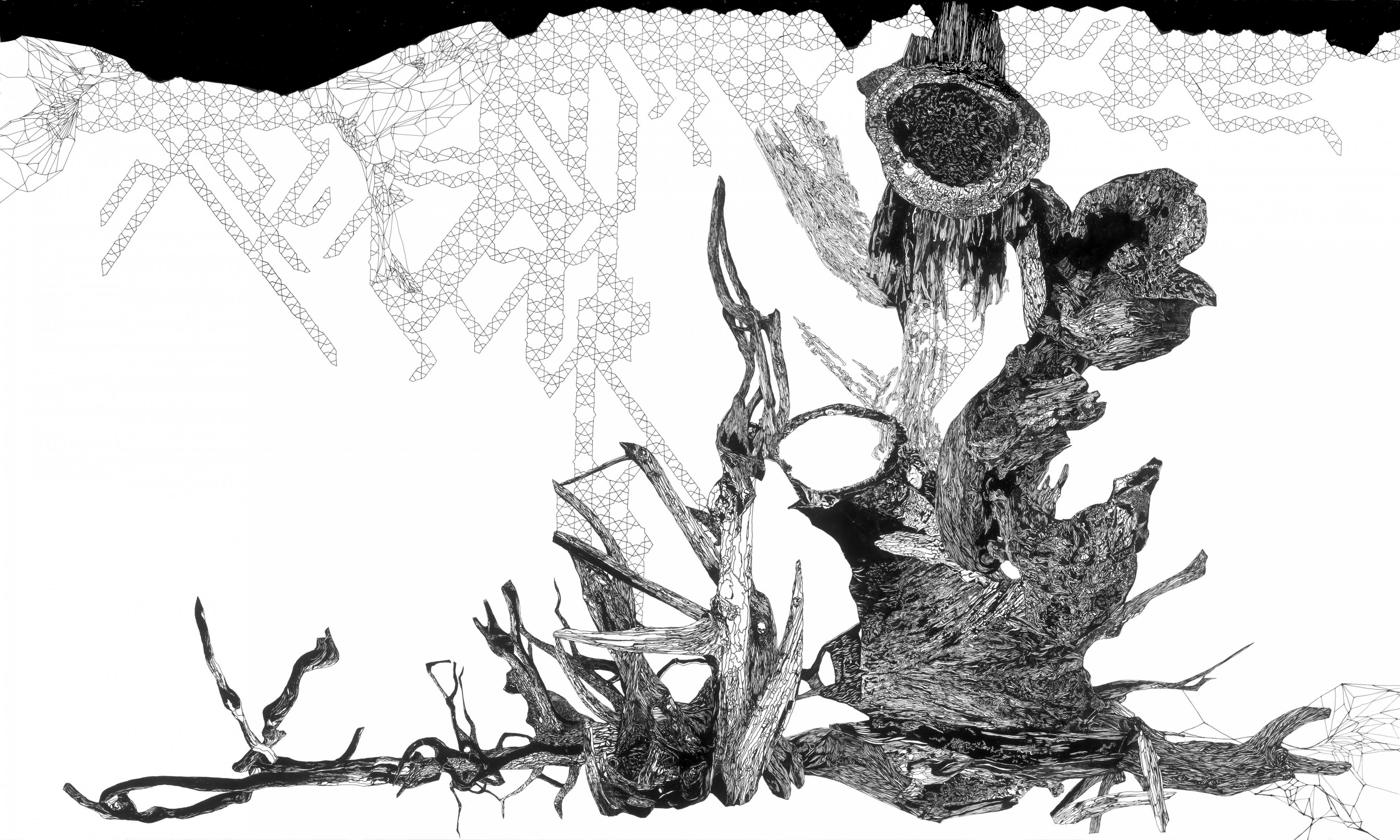 Ink drawing of what could be parts of an old tree with different geometric patterns running down a white background.